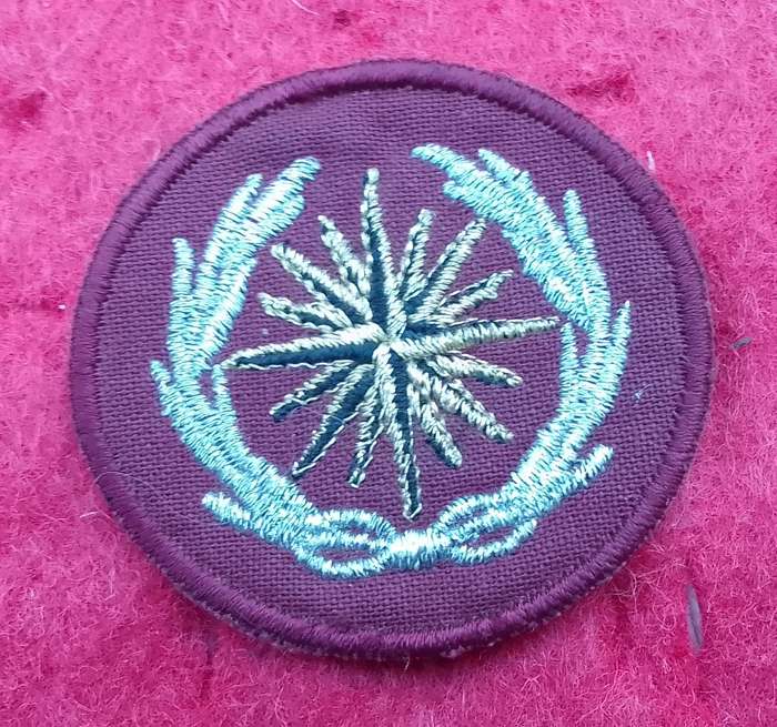 SPECIAL FORCES ( RECCE ) CLOTH BERET BADGE