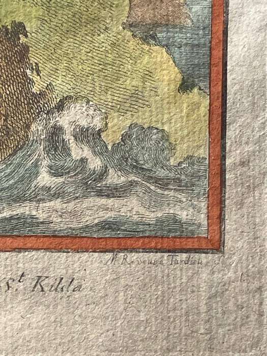 A PETREL PUFFIN / LE FULMAR ORIGINAL BUFFON COPPER PLATE ENGRAVING 1766 APPROX.