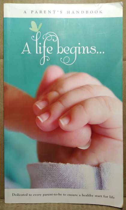A Life Begins - Gail Davidson