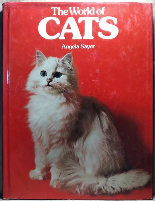 The World of Cats - Angela Sayer