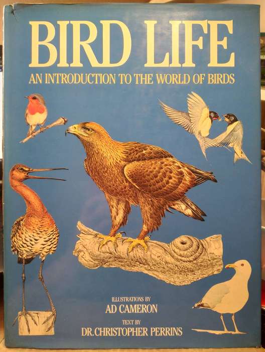 Bird Life: An Introduction tot he World of Birds - Ad Cameron