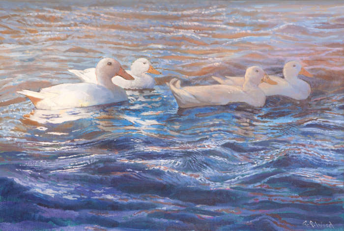 G.R.Wood - 'Raft of Pekin Ducks 1'