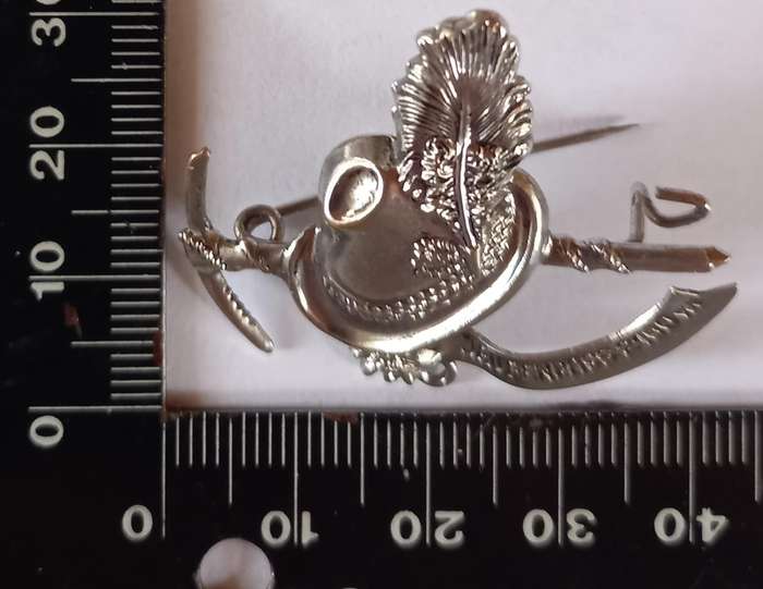 Switzerland Antique Pin Brooch Hat with a pickaxe,peacock feather,silver tone metal Brooch