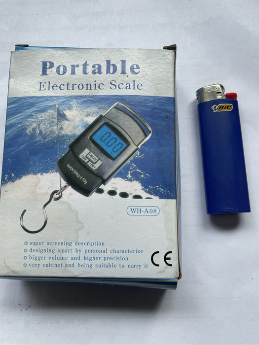 Portable electronic scale
