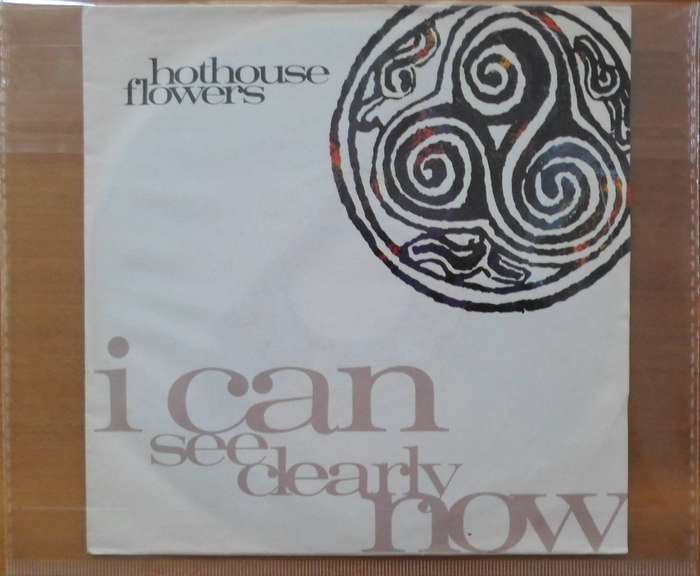 Hothouse Flowers - I Can See Clearly Now