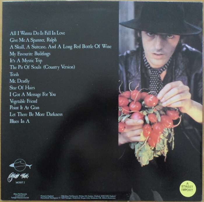 Robyn Hitchcock - Invisible Hitchcock