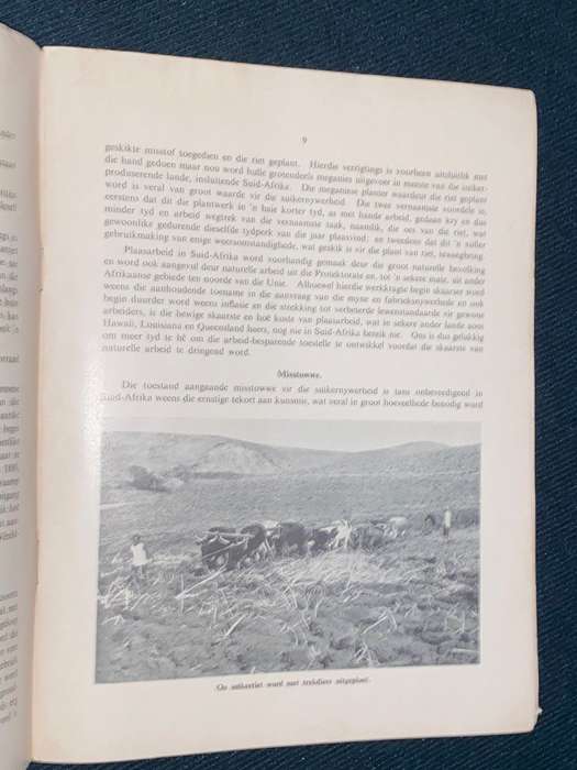 SUGAR THE ORIGIN AND DEVELOPMENT OF A PRIMARY INDUSTRY