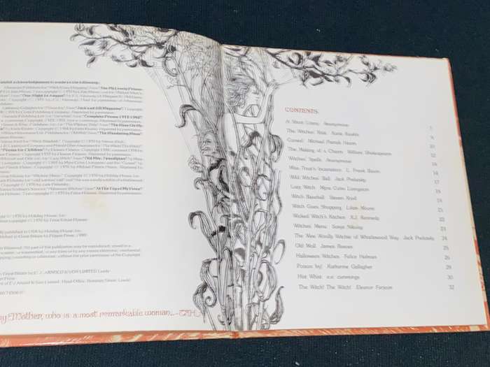 WITCH POEMS EDITED BY DAISY WALLACE