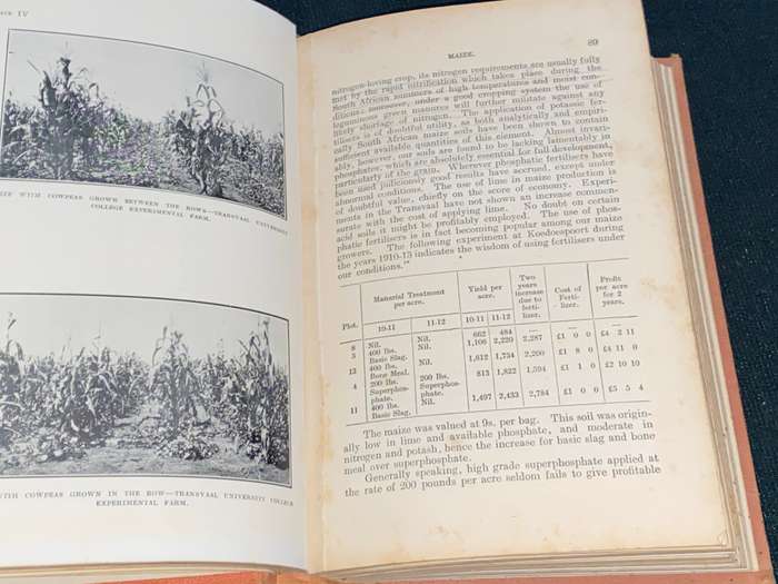 FIELD CROPS IN SOUTH AFRICA BY LEPPAN AND BOSMAN 1923