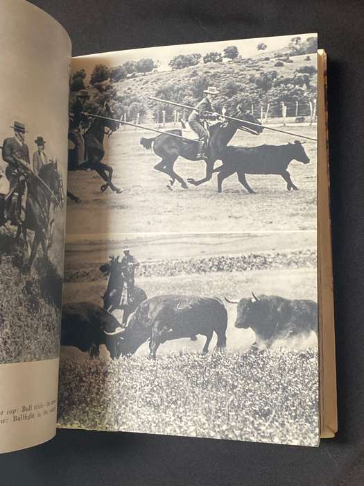 BULLS AND BULLFIGHTING BY J.L. ACQUARONI (HENNIE AUCAMP'S PERSONAL COPY)