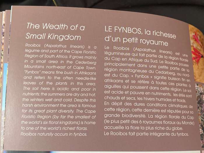 WUPPERTHAL ET SON ROOIBOS FRENCH /ENGLISH SUMMARY
