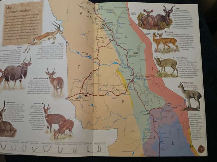 KRUGER NATIONAL PARK - THE KRUGER MAP