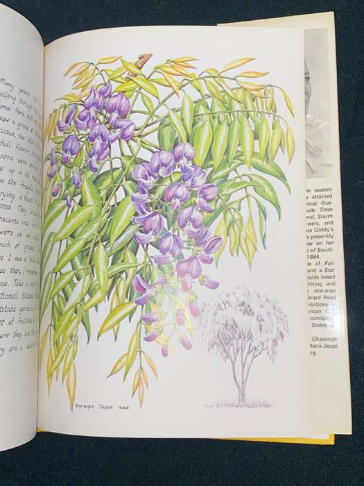 SOUTH AFRICA IS MY GARDEN BY BARBARA JEPPE SIGNED