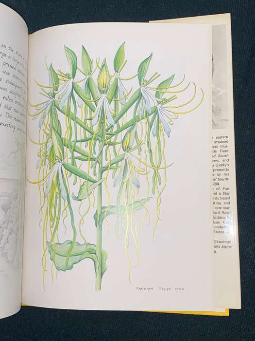 SOUTH AFRICA IS MY GARDEN BY BARBARA JEPPE SIGNED