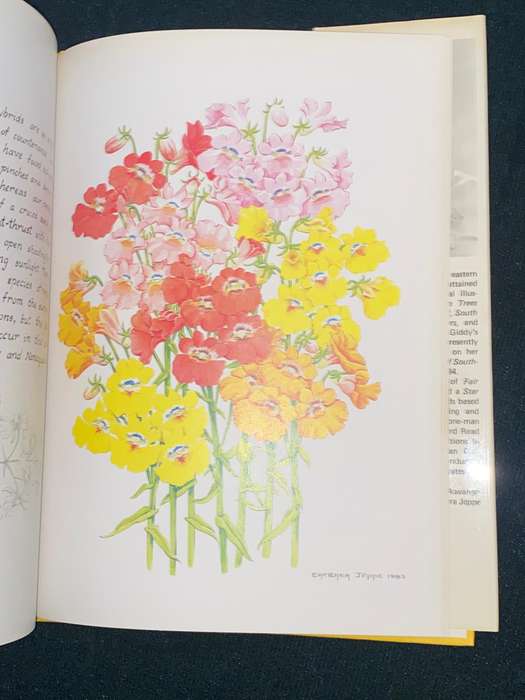 SOUTH AFRICA IS MY GARDEN BY BARBARA JEPPE SIGNED