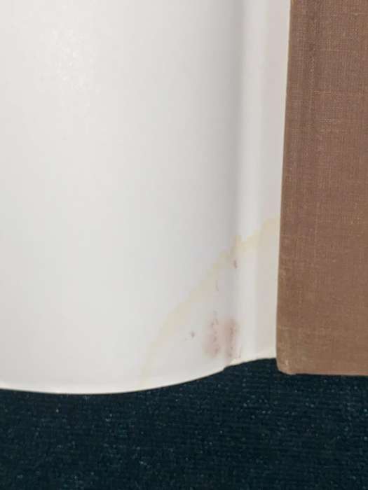 THE LIVES OF ANIMALS BY J.M COETZEE