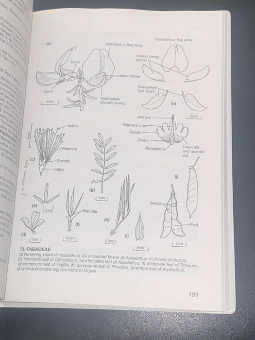 THE LEVYNS GUIDE TO PLANT GENERA OF THE SOUTH WESTERN CAPE BY TERRY H. TRINDER-SMITH