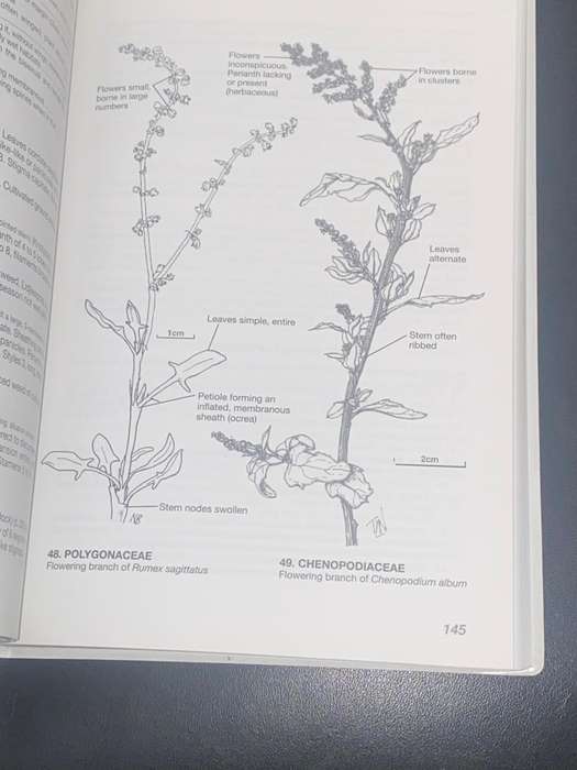 THE LEVYNS GUIDE TO PLANT GENERA OF THE SOUTH WESTERN CAPE BY TERRY H. TRINDER-SMITH
