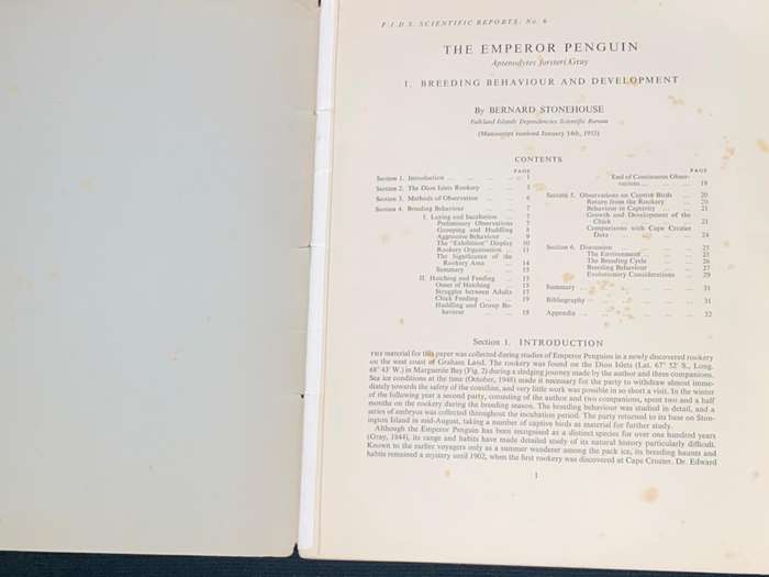 FALKLAND ISLANDS DEPENDENCIES SURVEY SCIENTIFIC REPORTS NO.6 THE EMPEROR PENGUIN 1953