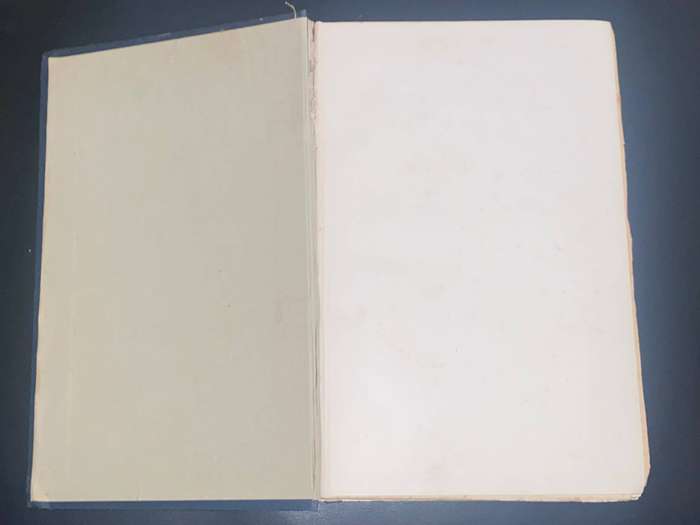 THE HISTORY OF THE SOUTH AFRICAN FORCES IN FRANCE BY JOHN BUCHAN