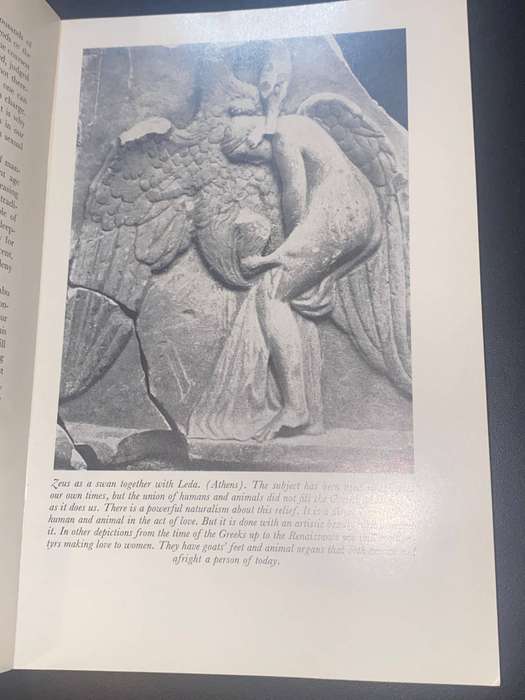 LOVE'S PICTURE BOOK THE HISTORY OF PLEASURE AND MORAL INDIGNATION