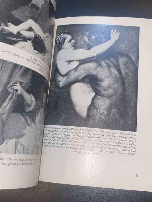 LOVE'S PICTURE BOOK THE HISTORY OF PLEASURE AND MORAL INDIGNATION