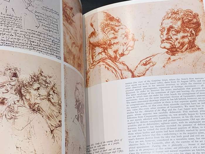 LEONARDO DA VINCI BY BRUNO SANTI