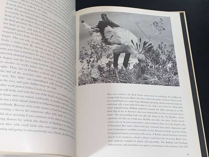 HALCYON DAYS CAMERA STUDIES OF SOUTH AFRICAN BIRDS BY C.J. UYS