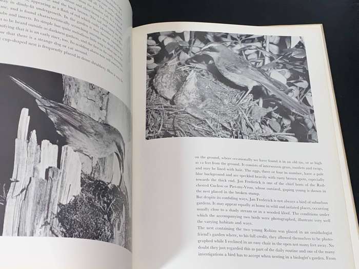 HALCYON DAYS CAMERA STUDIES OF SOUTH AFRICAN BIRDS BY C.J. UYS