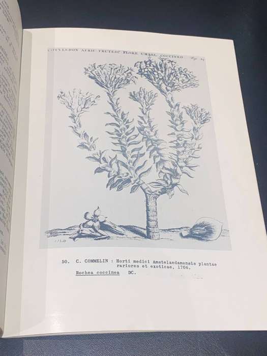 FLORA AFRICANA SOUTH AFRICAN BOTANICAL BOOKS 1600-1963 SIGNED BY DIRECTOR OF BOTANIC GARDENS