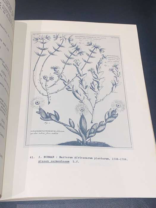 FLORA AFRICANA SOUTH AFRICAN BOTANICAL BOOKS 1600-1963 SIGNED BY DIRECTOR OF BOTANIC GARDENS