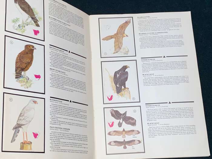 WEET-BIX BIRDS OF PREY ALBUM