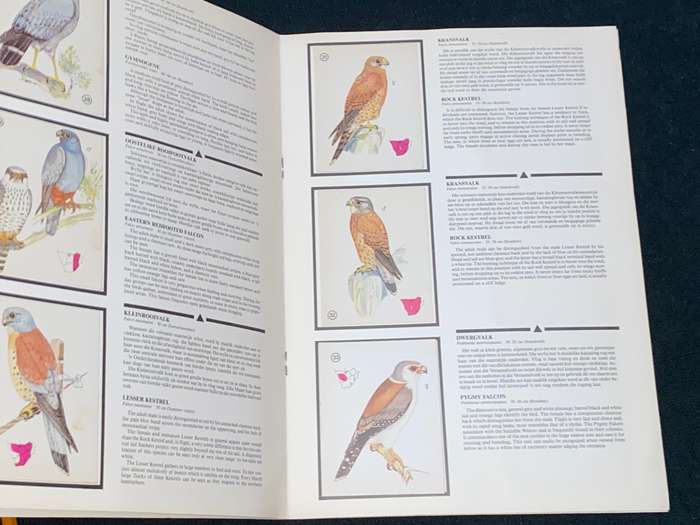 WEET-BIX BIRDS OF PREY ALBUM