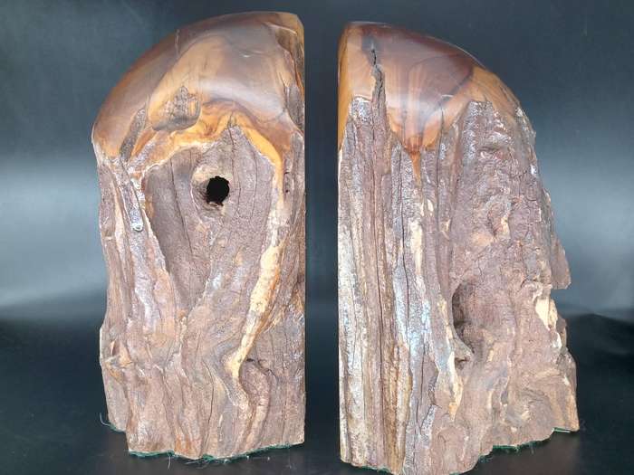 Vintage! Live Edge - Burl Wood Stump - Book Ends