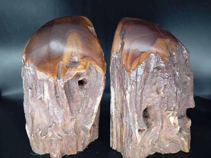Vintage! Live Edge - Burl Wood Stump - Book Ends