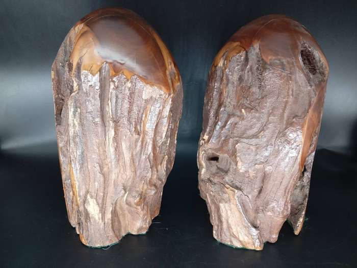 Vintage! Live Edge - Burl Wood Stump - Book Ends