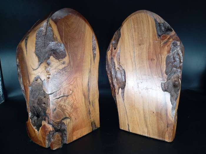 Vintage! Live Edge - Burl Wood Stump - Book Ends