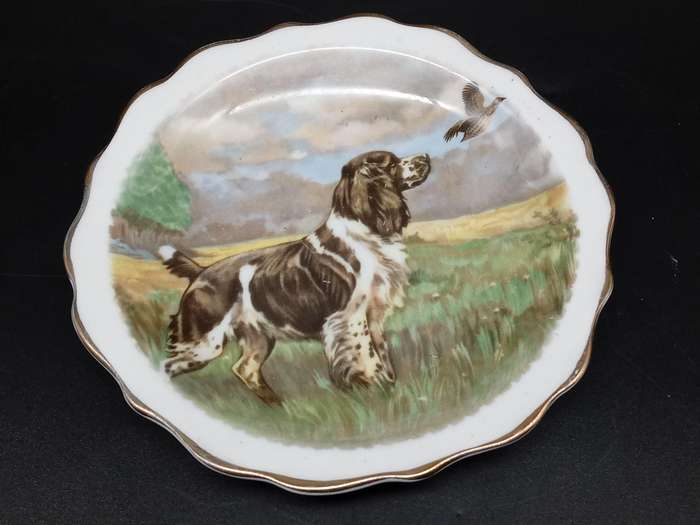 Antique! England - ROYAL Standard - Small Decorative Plate with Dog & Bird