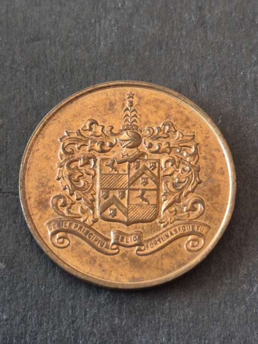 Bronze Medal to Commemorate the visit of H.R.H. Prince George to Durban 1934