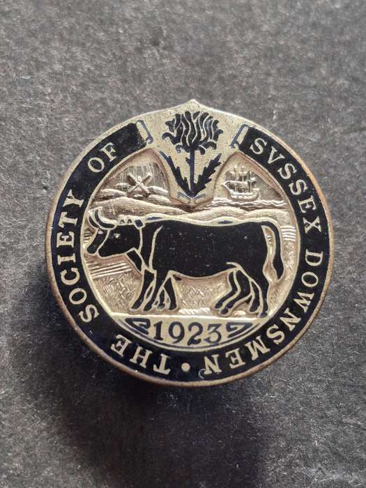 Society of Svssex Downsmen Society Enamel Lapel Badge 1923
