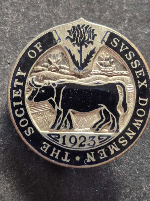 Society of Svssex Downsmen Society Enamel Lapel Badge 1923