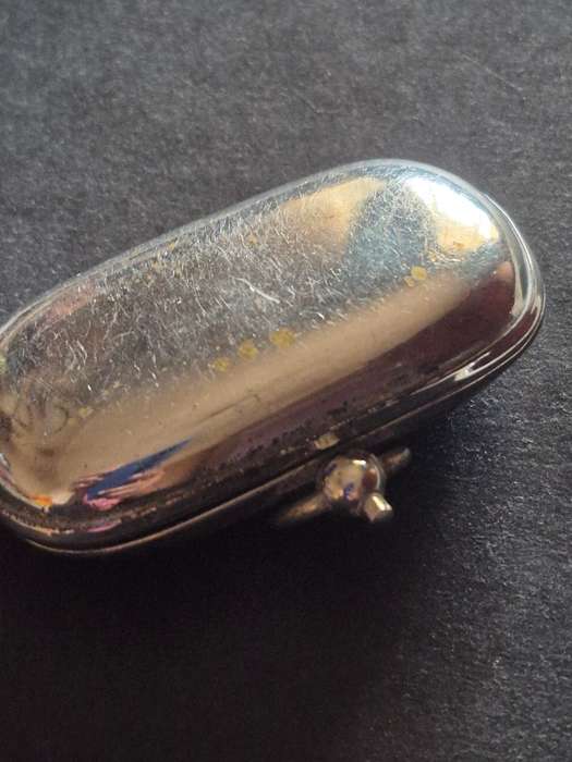 Nickle Plated Double Sovereign Holder
