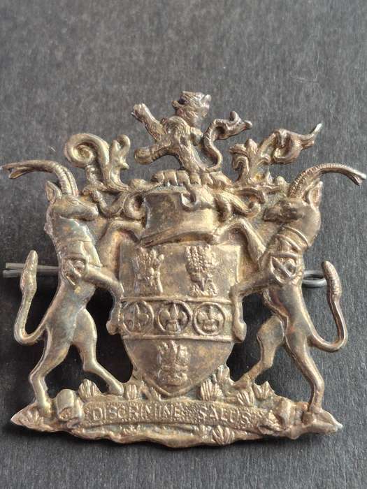 Large Salisbury Coat of Arms 57mm x 50mm