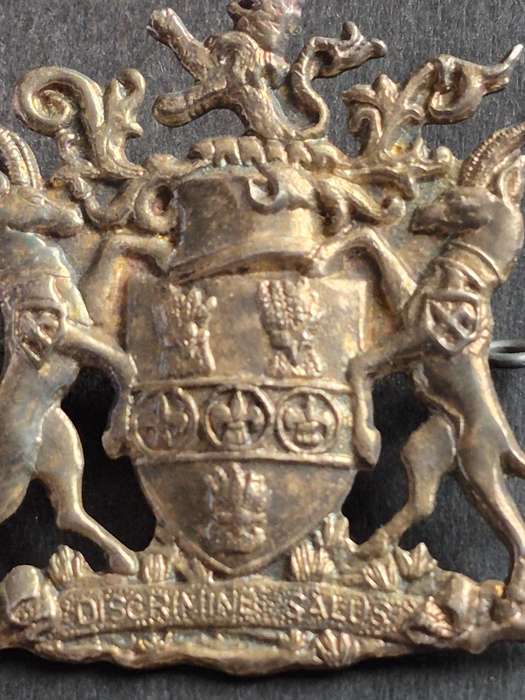 Large Salisbury Coat of Arms 57mm x 50mm