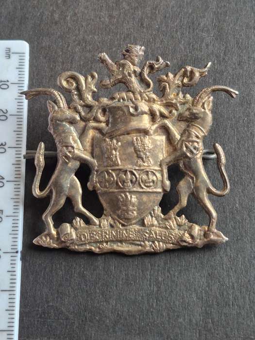 Large Salisbury Coat of Arms 57mm x 50mm