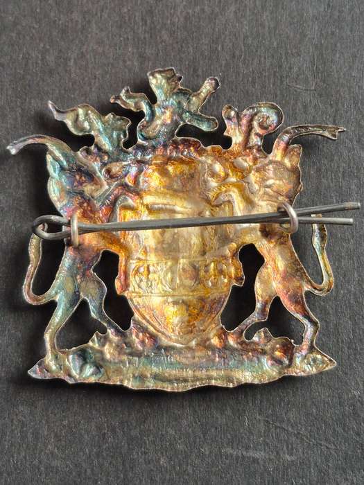 Large Salisbury Coat of Arms 57mm x 50mm
