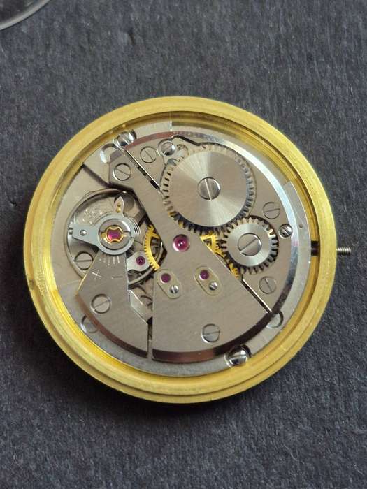 Vintage Gigandel 21 Rubis Incablock Movement- not working