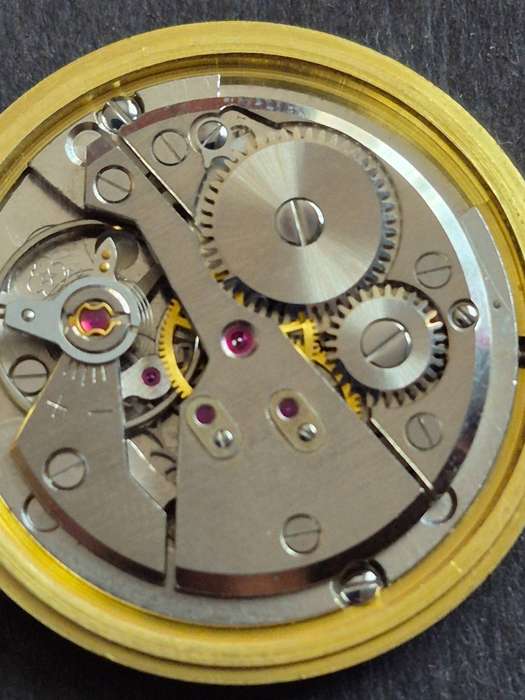 Vintage Gigandel 21 Rubis Incablock Movement- not working