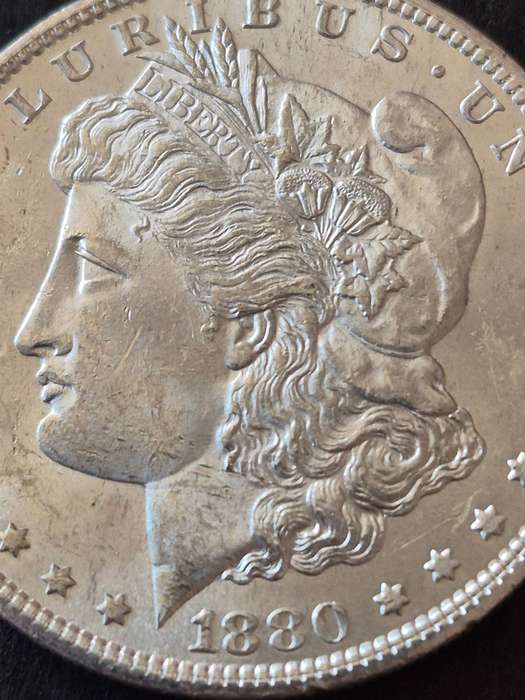 USA Morgan Dollar 1880S - silver