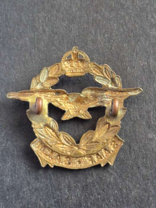 SAAF SALM South Africa Airforce Cap Badge - small